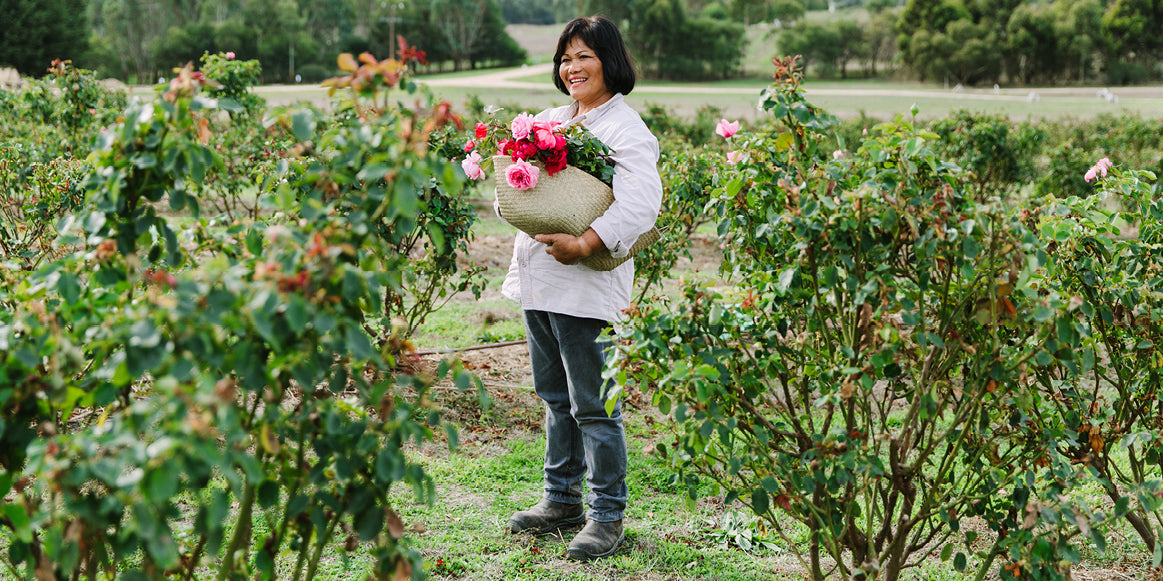 THE ROSE WHISPERER