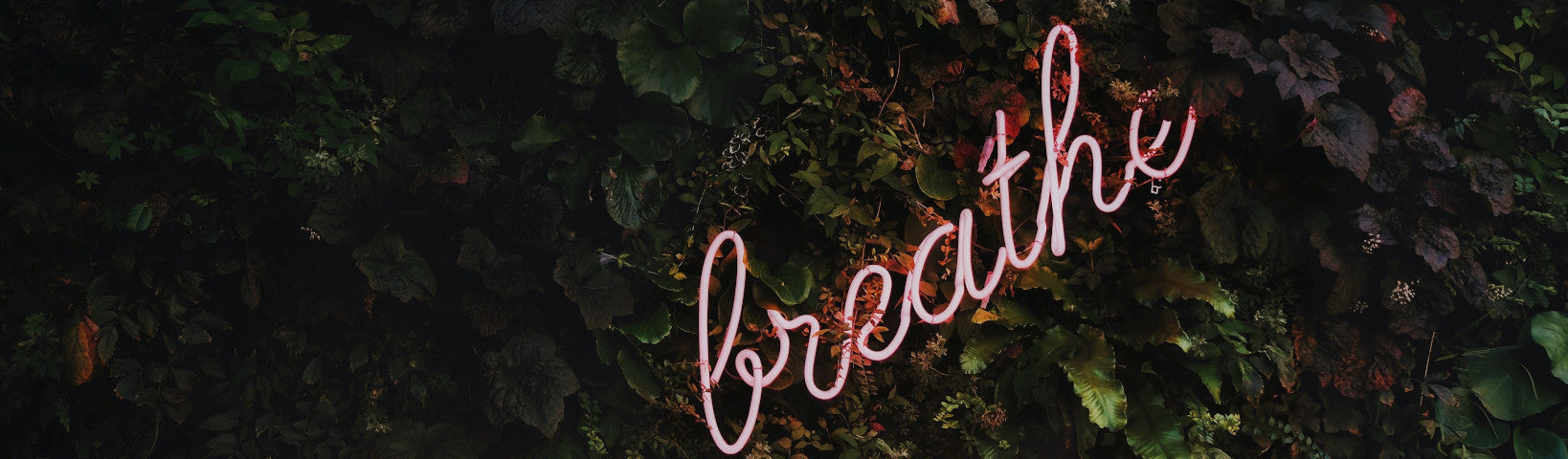 9 STEPS TO BECOMING THE HEALTHIEST VERSION OF YOURSELF