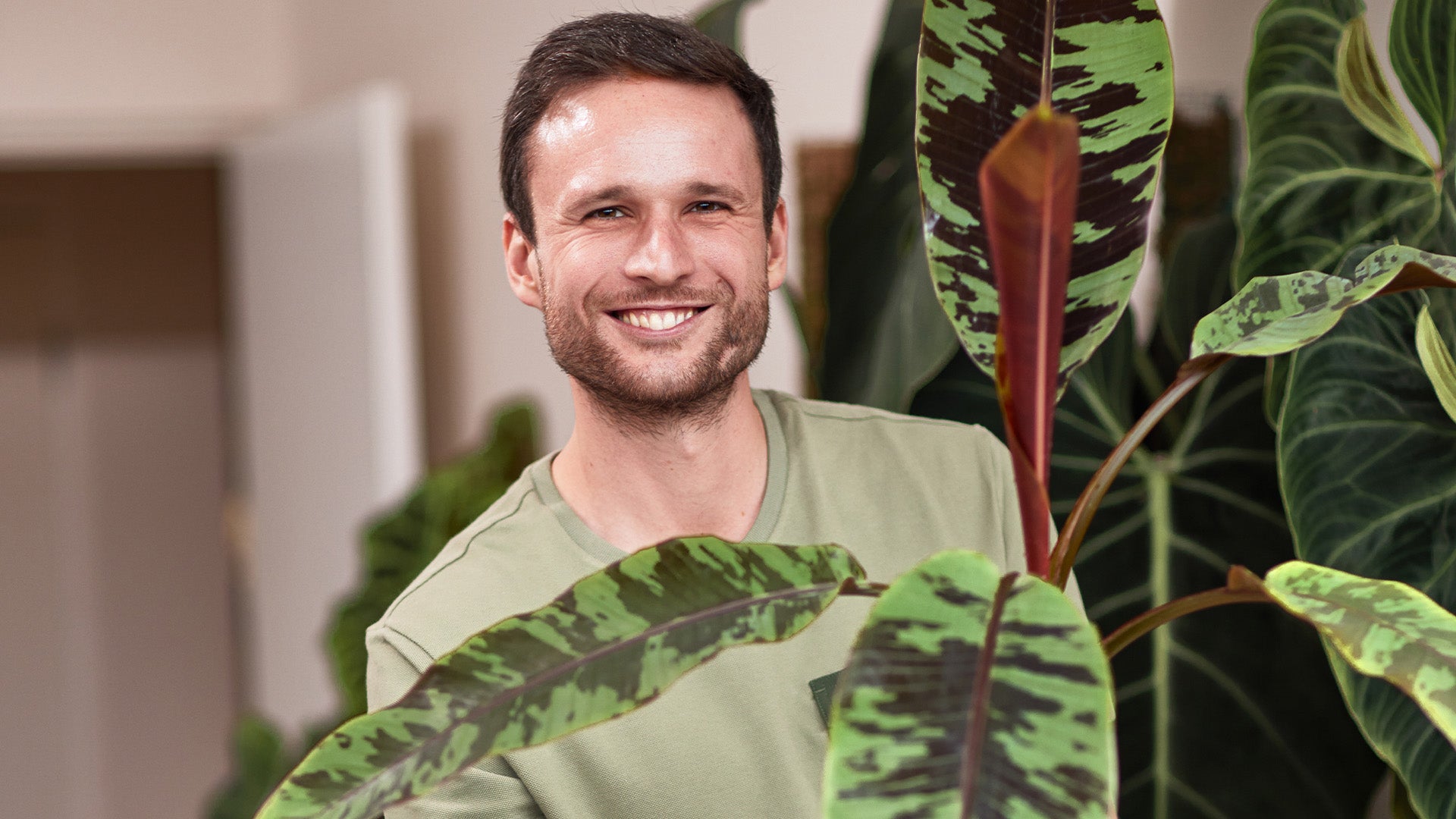 How indoor plants can help you destress with Jan Gettmann