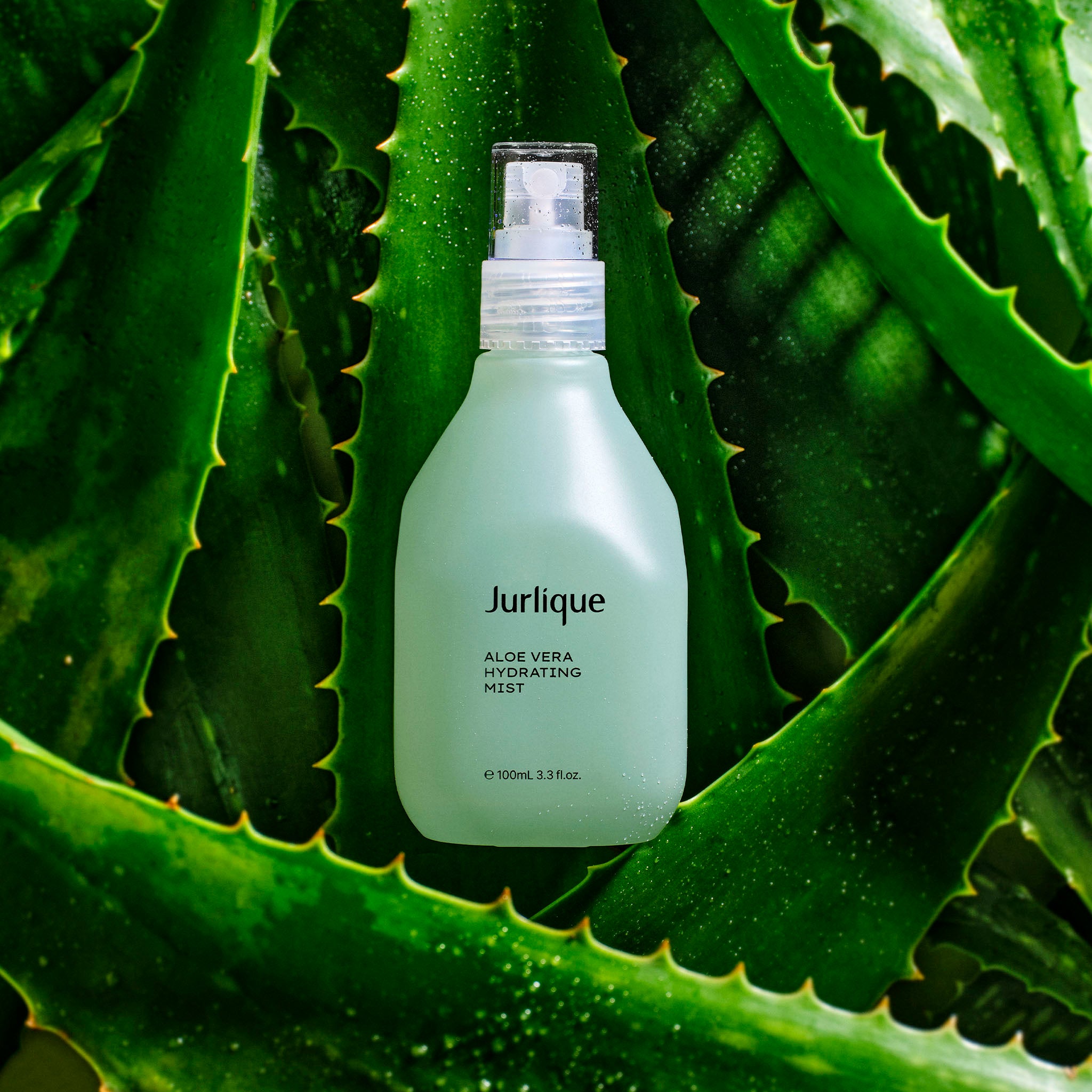 Aloe Vera Hydrating Mist