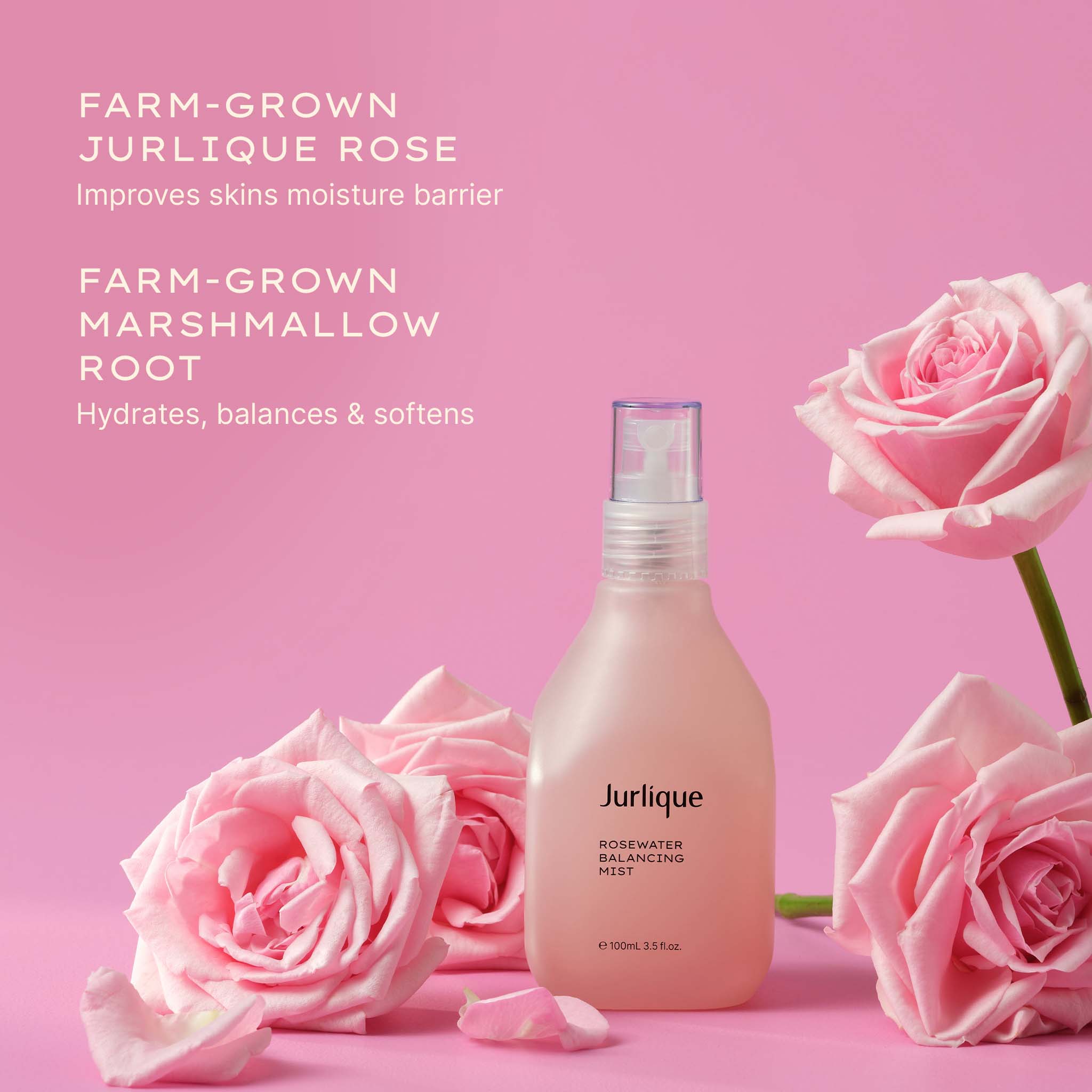 Rosewater Balancing Mist