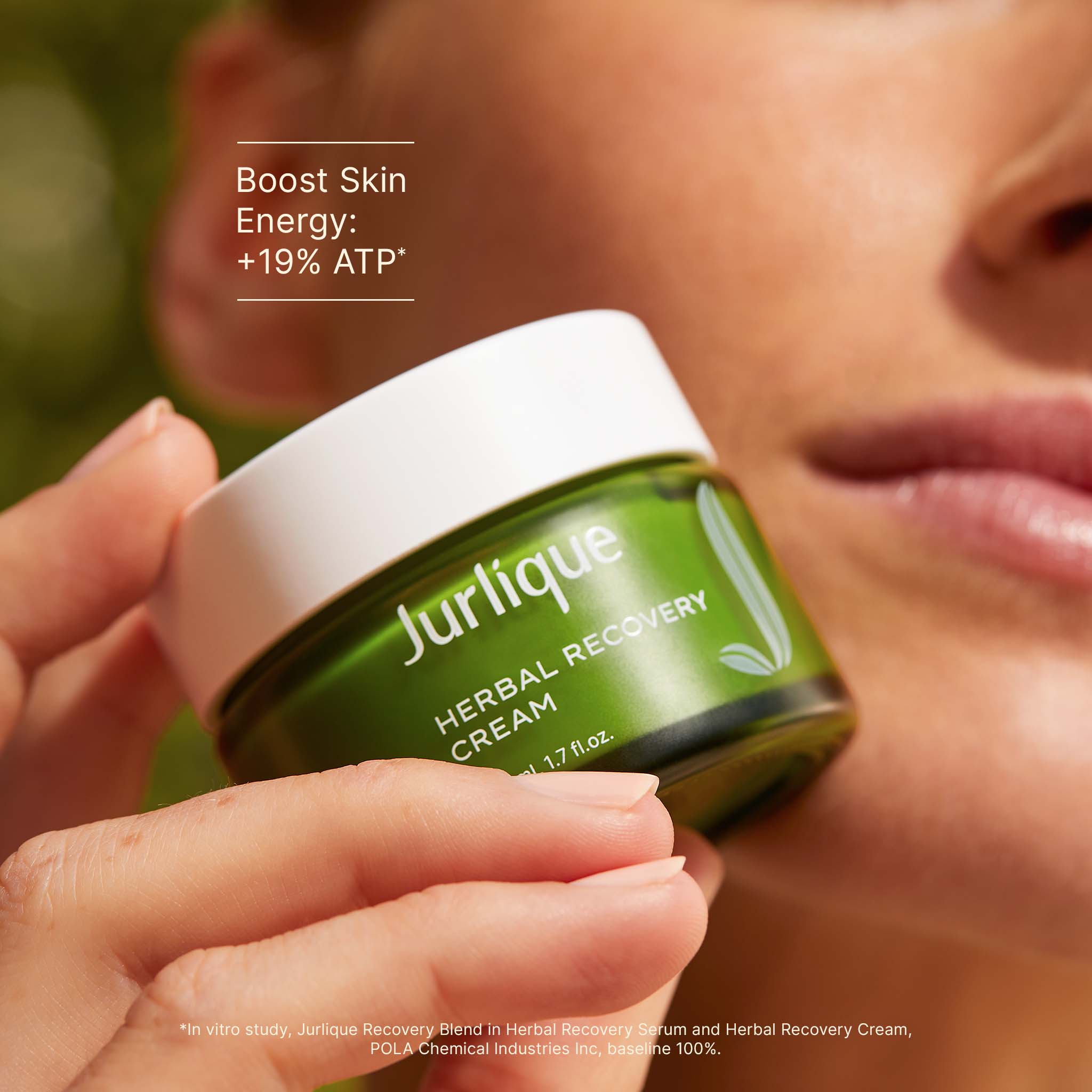 フェイスクリーム Yuuu Herbal Recovery Cream | Jurlique Lightweight Moisturiser – Jurlique UK