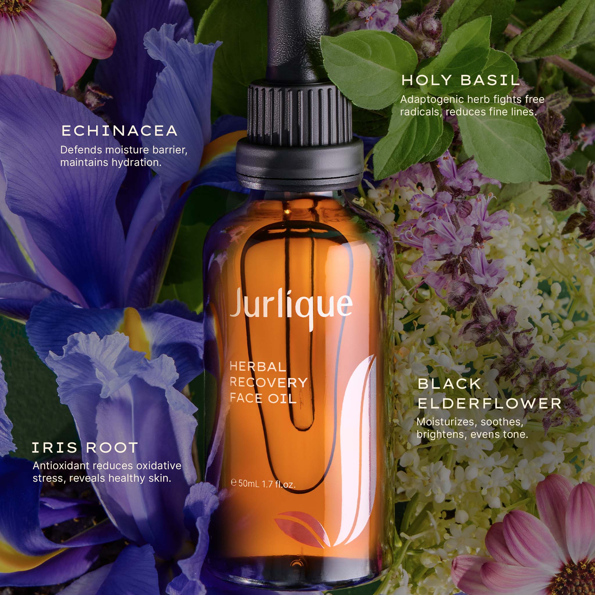 Herbal Recovery Face Oil | Jurlique Natural Skincare – Jurlique UK