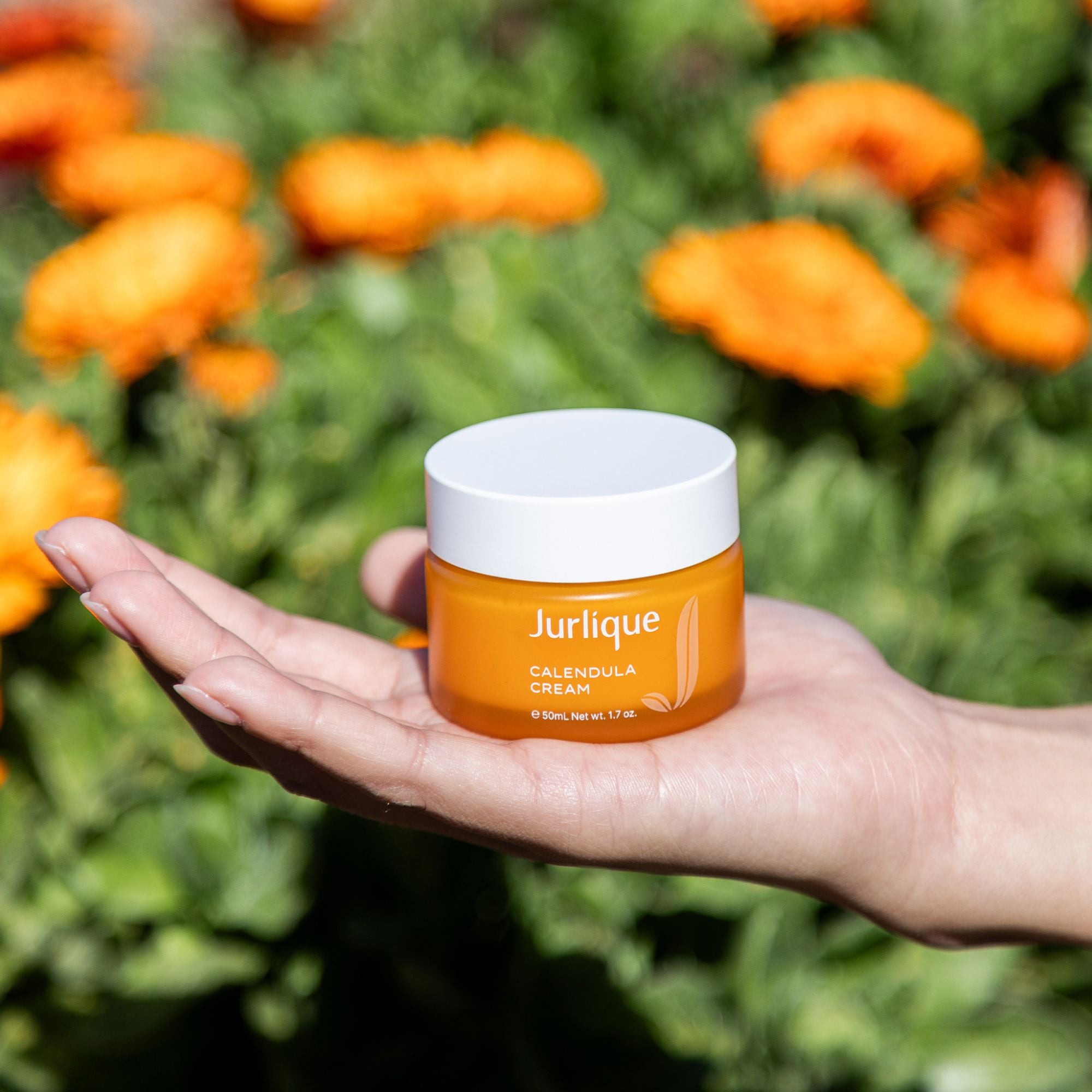 Calendula Cream