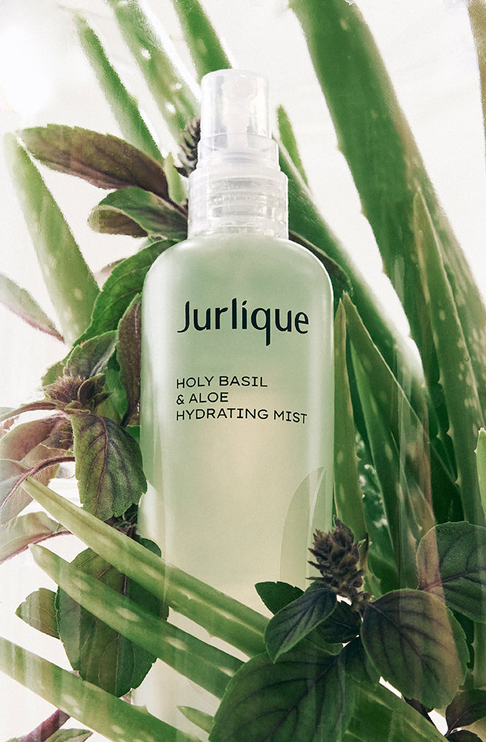 Holy Basil and Aloe Hydrating Mist