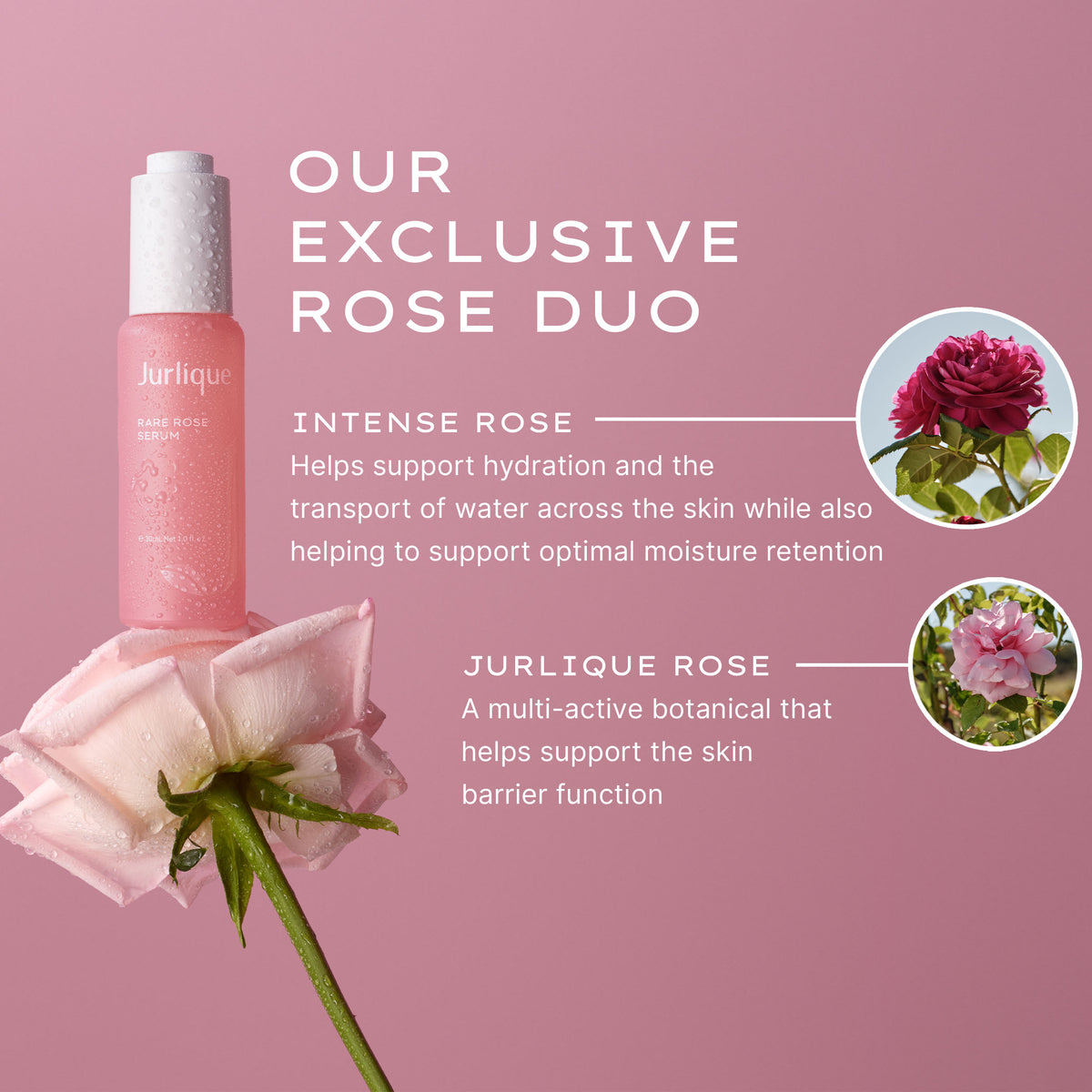 Rare Rose Emulsion