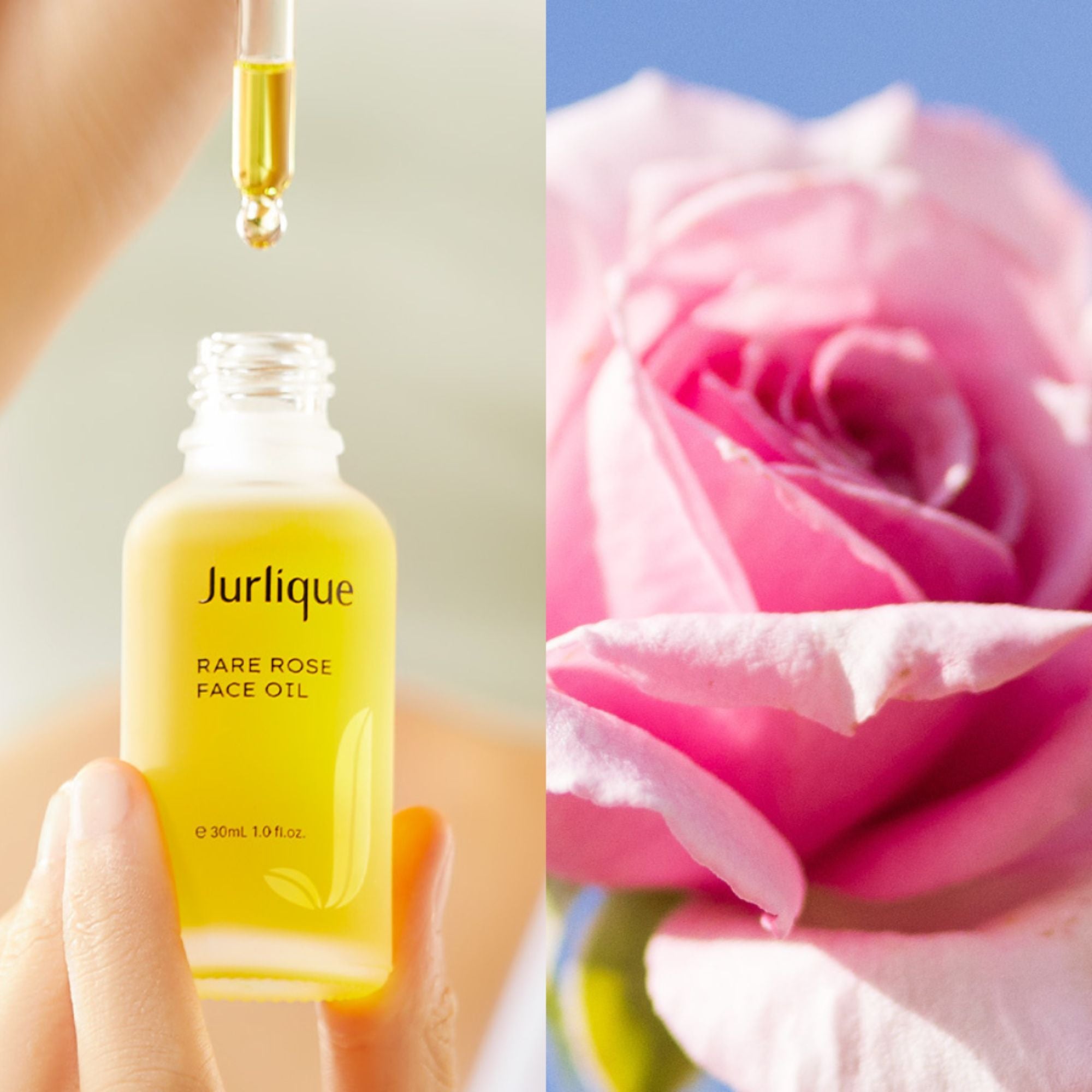 Rare Rose Face Oil – Jurlique UK